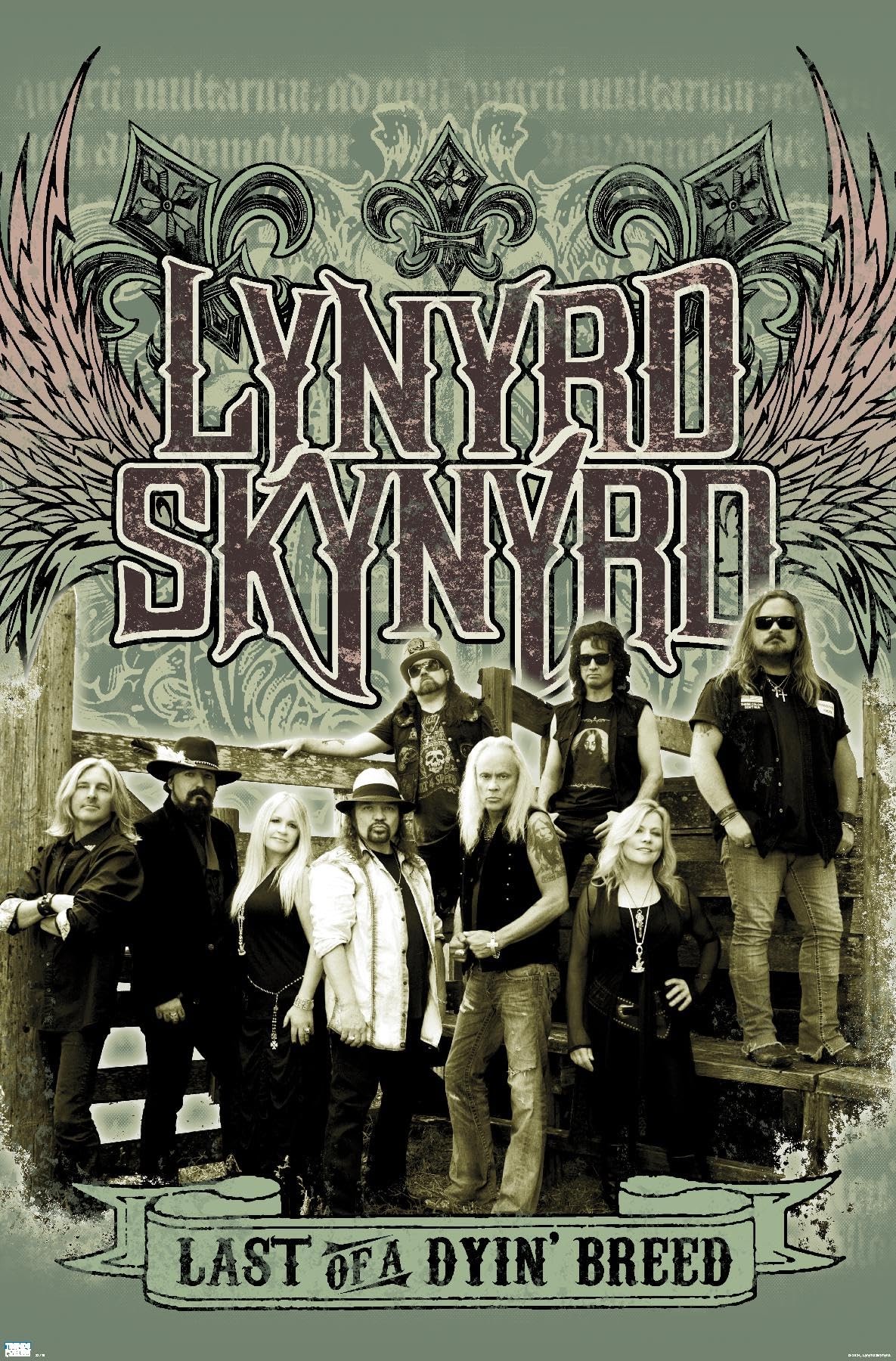Amazon.com: Trends International Lynyrd Skynyrd - Green Band Wall